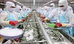 Xuất khẩu hải sản năm 2021 đạt 3,4 tỷ USD