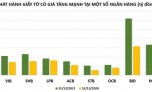 Nhà băng nào phát hành giấy tờ có giá 'khủng' nhất năm 2021?