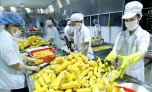 Xuất khẩu nông sản sang Nga phải tạm dừng