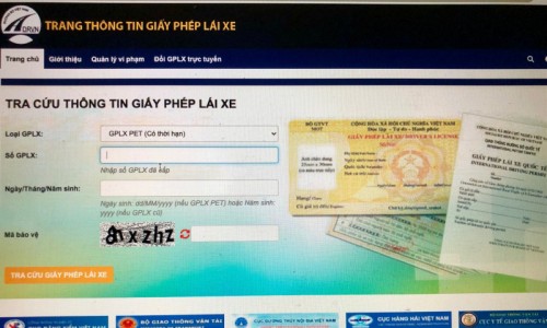 Bộ GTVT cảnh báo nhiều website giả mạo tra cứu thông tin giấy phép lái xe