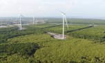 Chi phí lãi vay ngốn hết lợi nhuận tại Fecon?