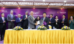 TPBank - Sunlife: Bên thu quả ngọt, bên lỗ kỷ lục, nộp thuế duy nhất 1 năm