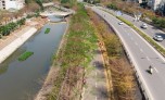 Bộ Công an yêu cầu định giá cây xanh ở Hà Nội
