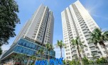 "Nội soi" sức khoẻ tài chính của Công ty CP Vimeco