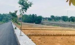 Hà Nội: Bất ngờ tạm dừng đấu giá 44 lô đất tại huyện Đông Anh