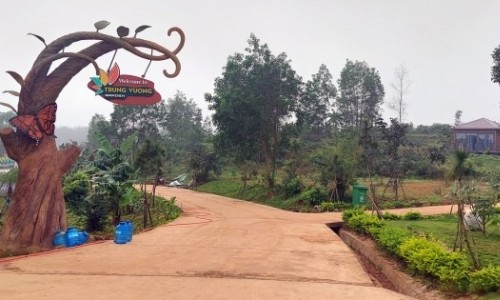Quảng Trị: Chủ dự án Trưng Vương Garden bị xử phạt