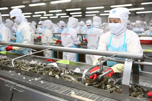 Bộ Công Thương: Mỹ bỏ áp dụng thuế chống bán phá với tôm Minh Phú là quyết định khách quan, công bằng