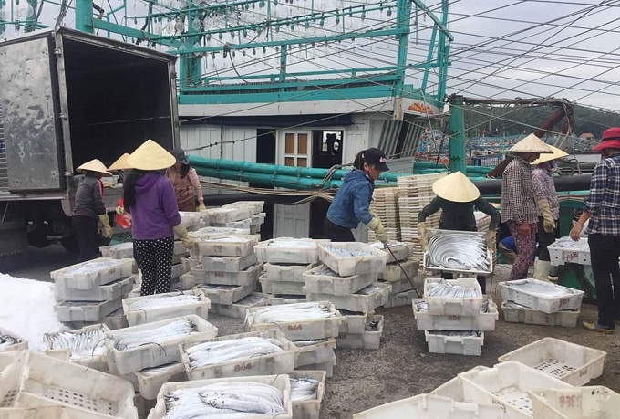 Nghệ An: Tàu cá đóng mới theo Nghị định 67 với những khoản nợ “khổng lồ”