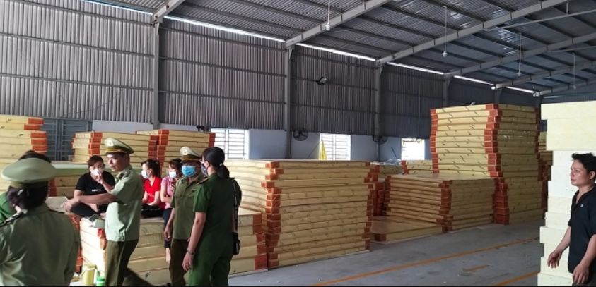 Công ty TNHH Vườn Xanh Bình Dương sản xuất nệm giả