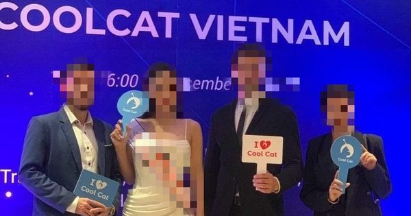 Sập sàn giao dịch Coolcat: 700 nạn nhân tố cáo bị lừa hơn 200 tỷ đồng