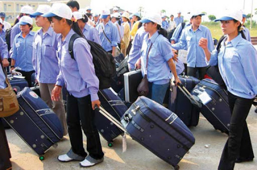 Đài Loan tạm dừng nhập cảnh lao động nước ngoài để phòng dịch
