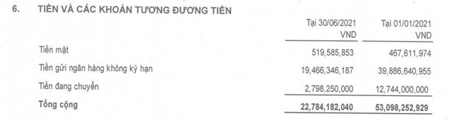 DRH Holdings bất ngờ báo lỗ quý sau 8 năm, 'kho tiền mặt' cạn dần