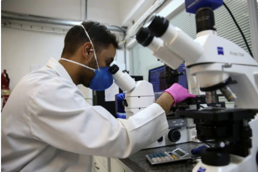   Phát hiện phân tử trong nọc rắn độc Brazil có khả năng ức chế virus SARS-CoV-2