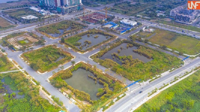 Bộ Xây dựng yêu cầu kiểm tra đấu giá đất cao bất thường và đánh giá nguy cơ 'bong bóng' BĐS