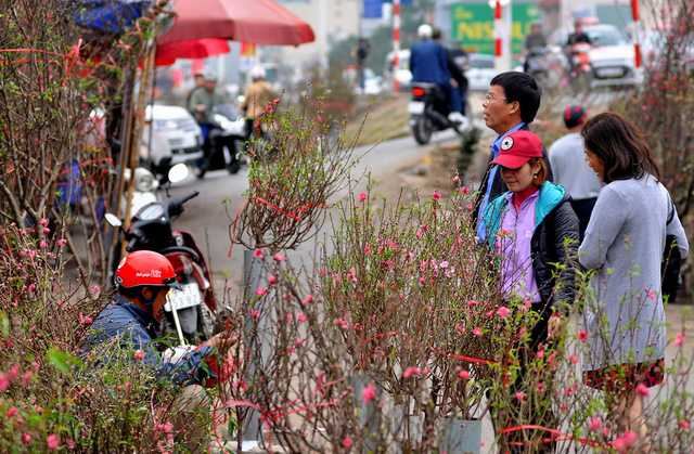 Nghỉ tết Nguyên đán Nhâm Dần từ ngày 31/1 đến hết ngày 4/2