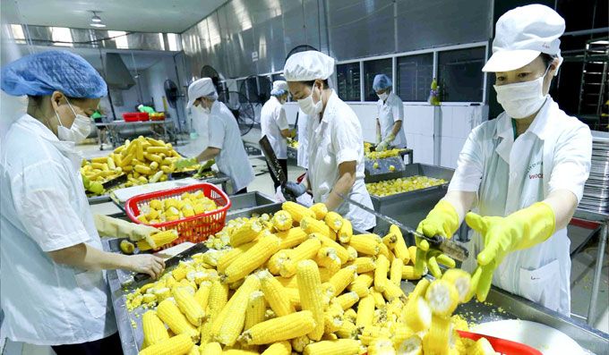 Xuất khẩu nông sản sang Nga phải tạm dừng