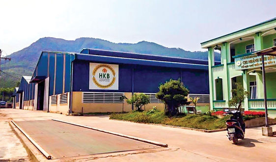 Phạt Công ty Cổ phần Nông nghiệp và Thực phẩm Hà Nội - Kinh Bắc 100 triệu đồng