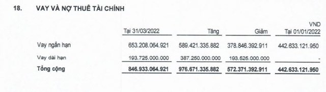 DRH Holdings: Sức khỏe tài chính giảm, nợ tăng nhanh