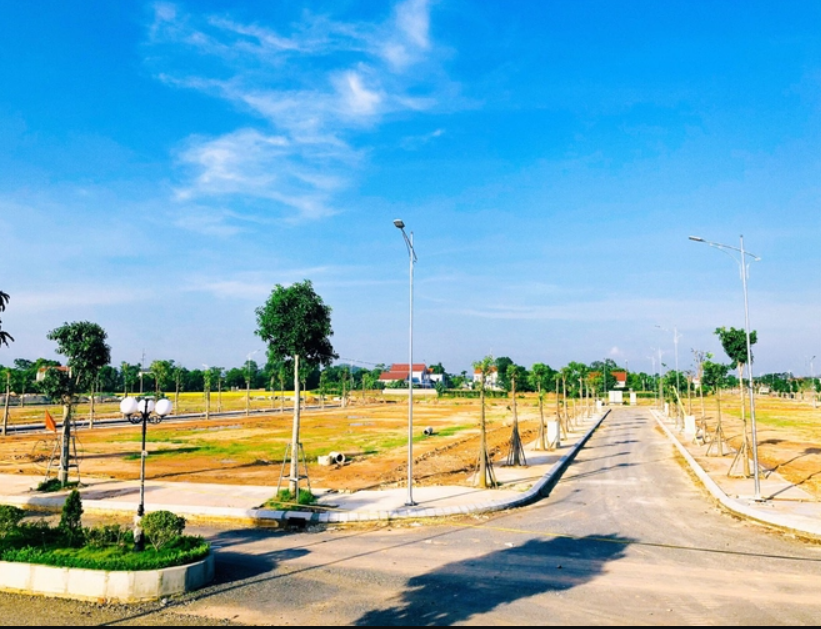 Hà Nội yêu cầu chấn chỉnh hoạt động đấu giá đất