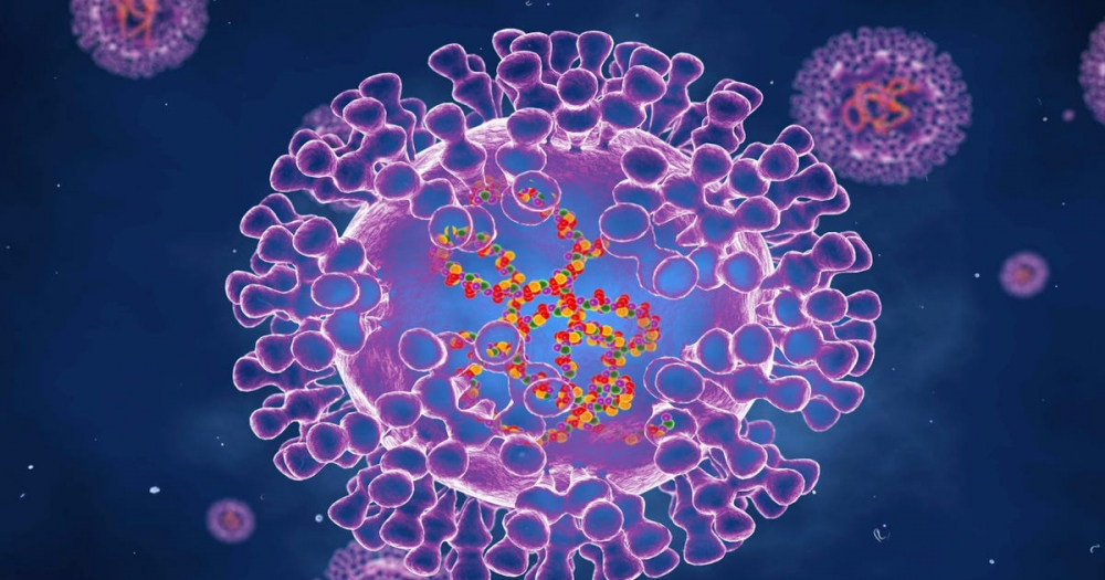 Thế giới có thể tồn tại tới 47 đột biến virus đậu mùa khỉ