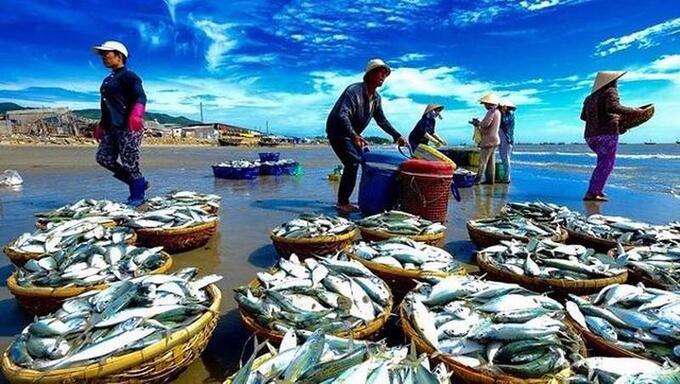 Xuất khẩu thủy sản nửa đầu năm mang về gần 6 tỷ USD